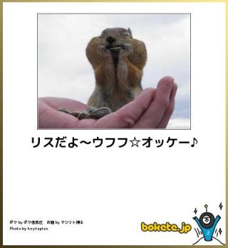 ボケて！で笑った動物編