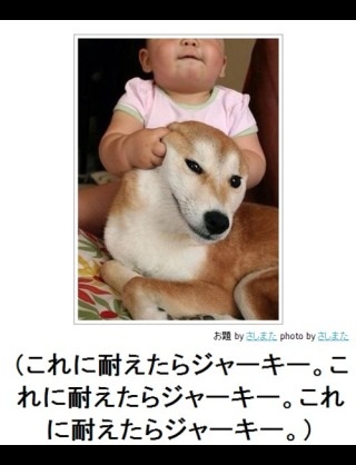 ボケて！で笑った動物編