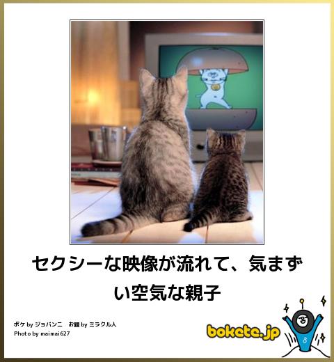 ボケて！で笑った動物編