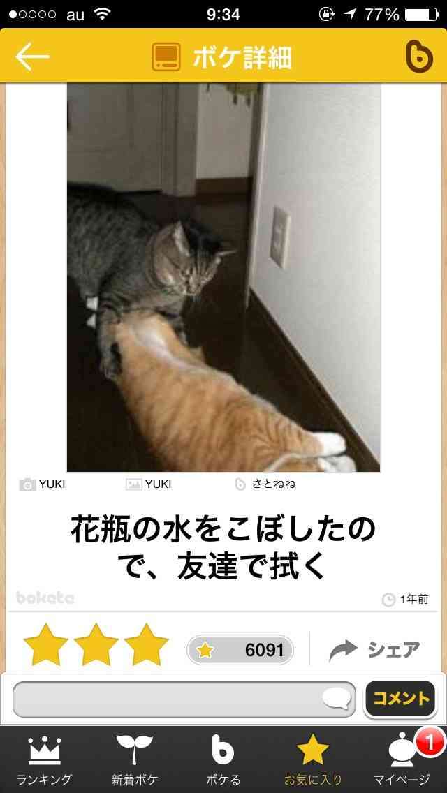 ボケて！で笑った動物編