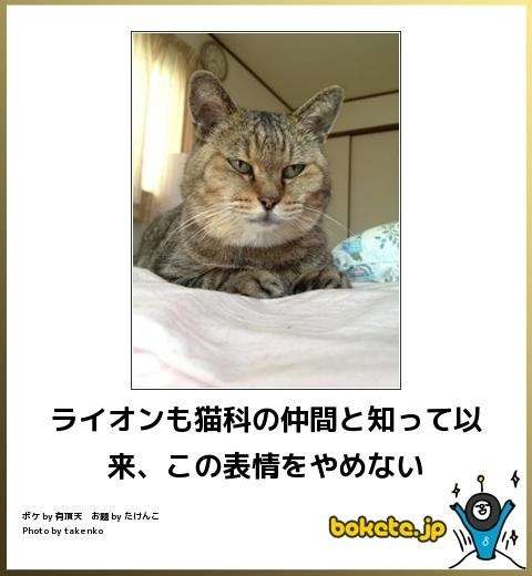 ボケて！で笑った動物編