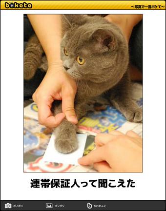 ボケて！で笑った動物編