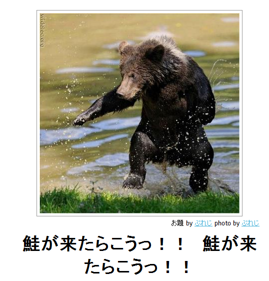 ボケて！で笑った動物編