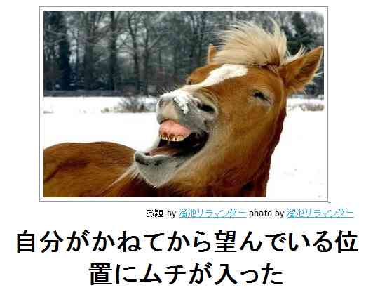 ボケて！で笑った動物編