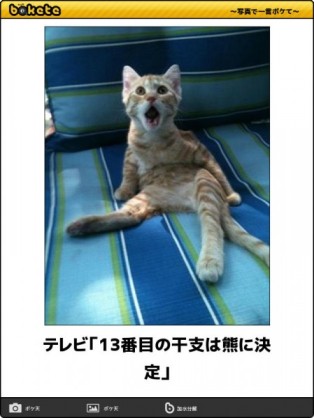 ボケて！で笑った動物編
