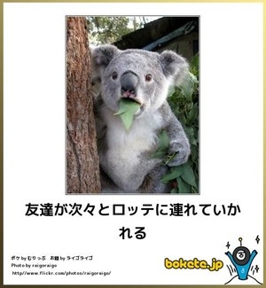 ボケて！で笑った動物編