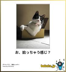 ボケて！で笑った動物編