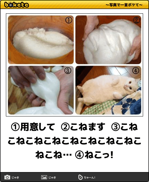 ボケて！で笑った動物編