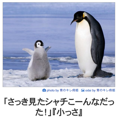 ボケて！で笑った動物編