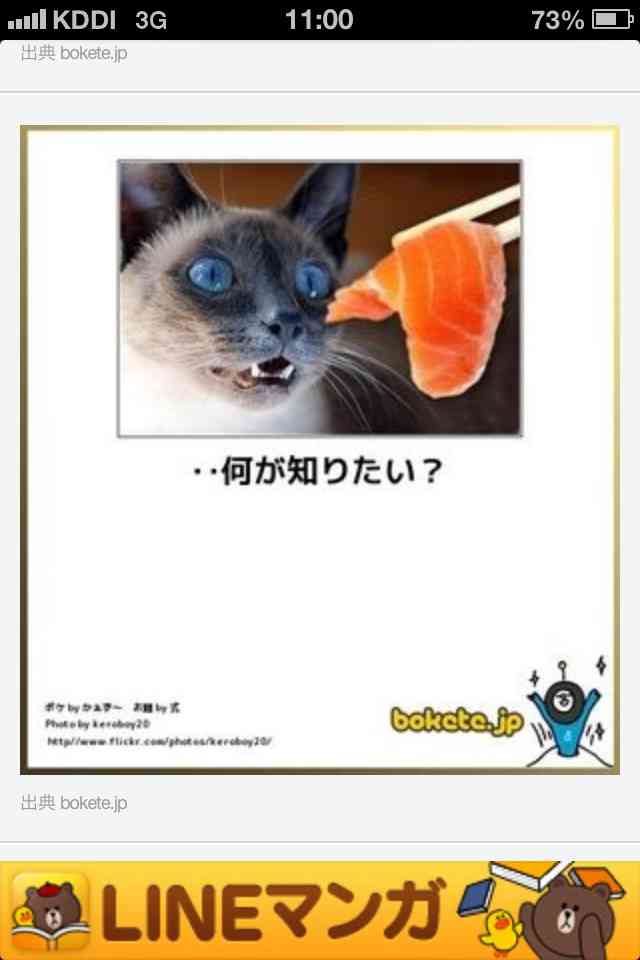 ボケて！で笑った動物編