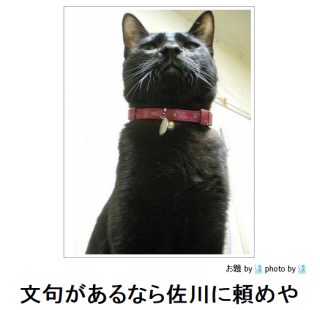 ボケて！で笑った動物編