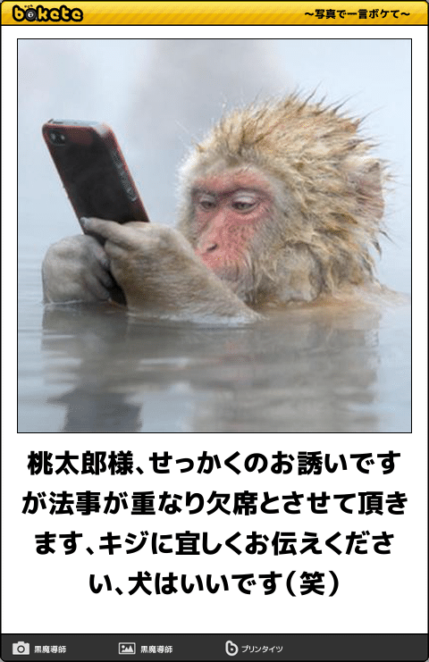 ボケて！で笑った動物編