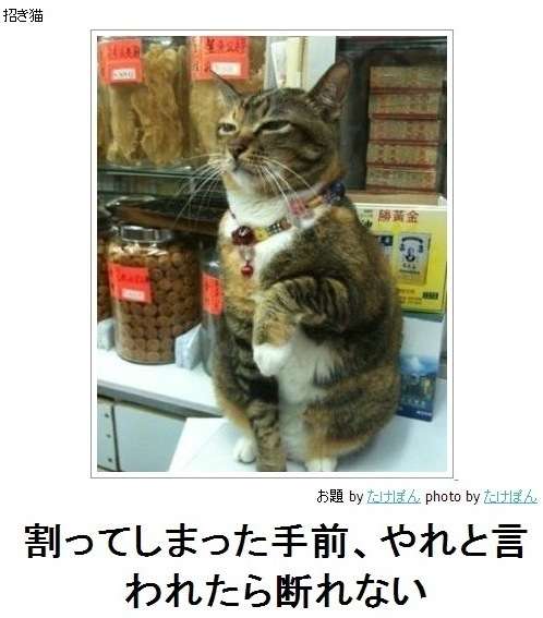 ボケて！で笑った動物編