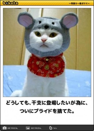 ボケて！で笑った動物編