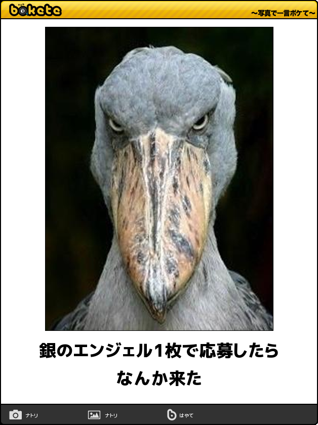 ボケて！で笑った動物編