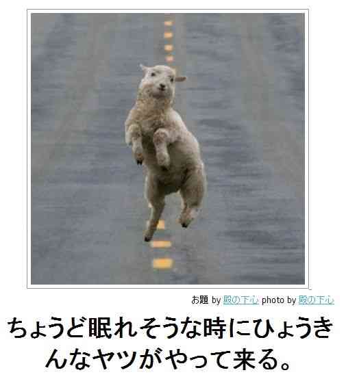 ボケて！で笑った動物編