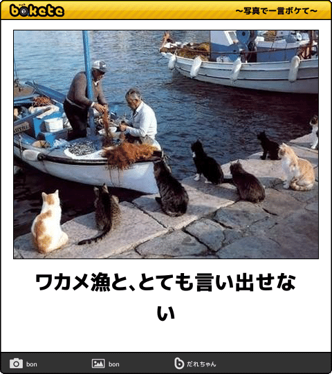ボケて！で笑った動物編