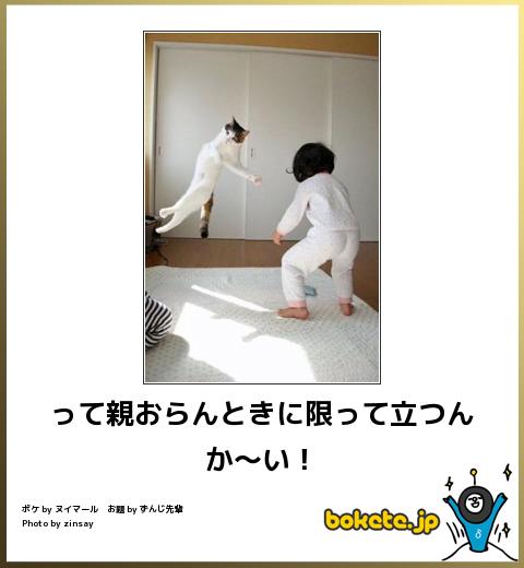ボケて！で笑った動物編