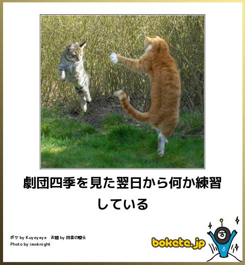 ボケて！で笑った動物編