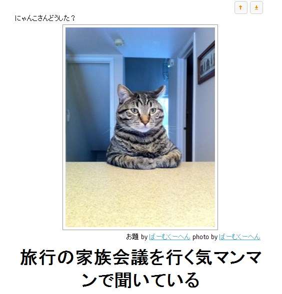 ボケて！で笑った動物編