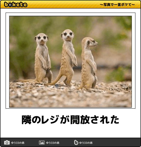 ボケて！で笑った動物編