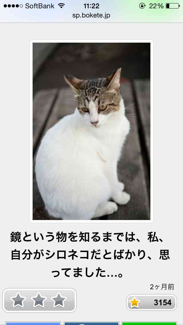ボケて！で笑った動物編