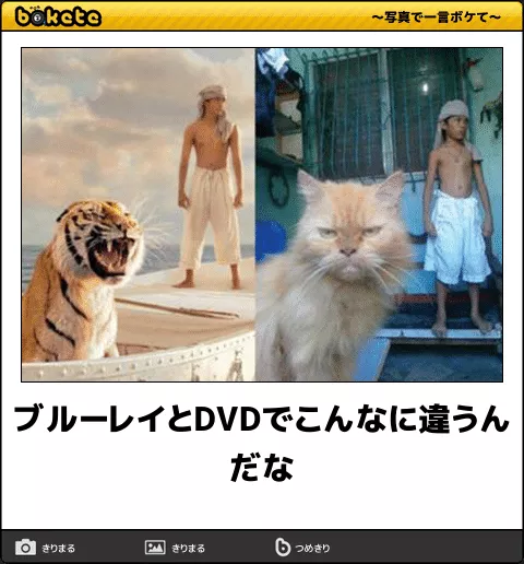 ボケて！で笑った動物編
