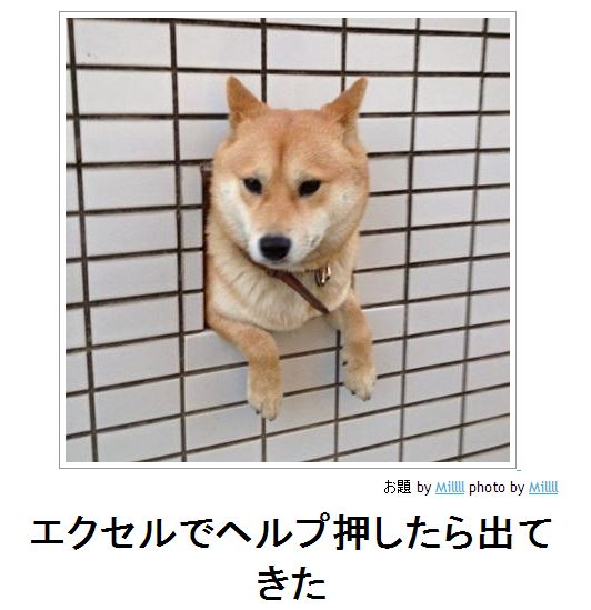 ボケて！で笑った動物編