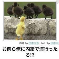 ボケて！で笑った動物編