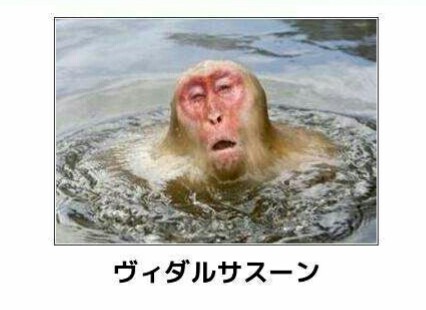 ボケて！で笑った動物編