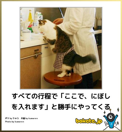 ボケて！で笑った動物編