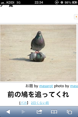 ボケて！で笑った動物編
