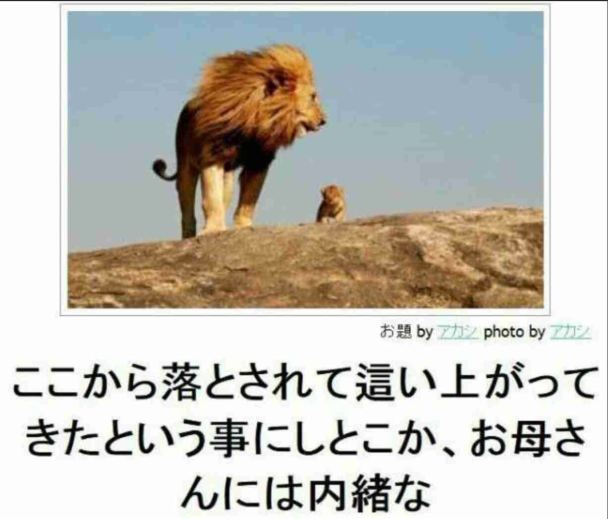 ボケて！で笑った動物編