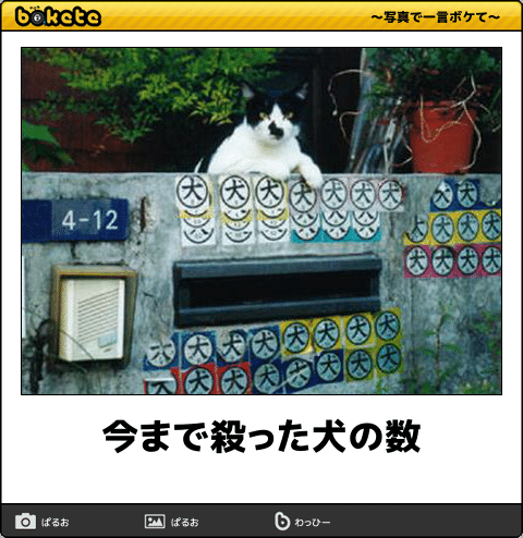 ボケて！で笑った動物編