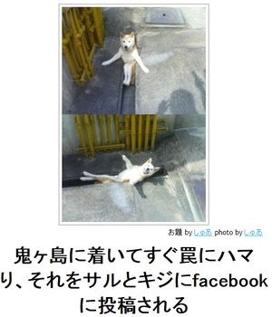 ボケて！で笑った動物編
