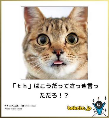 ボケて！で笑った動物編