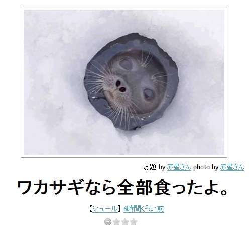 ボケて！で笑った動物編