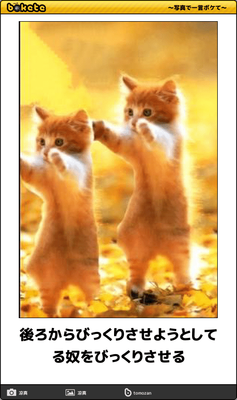 ボケて！で笑った動物編