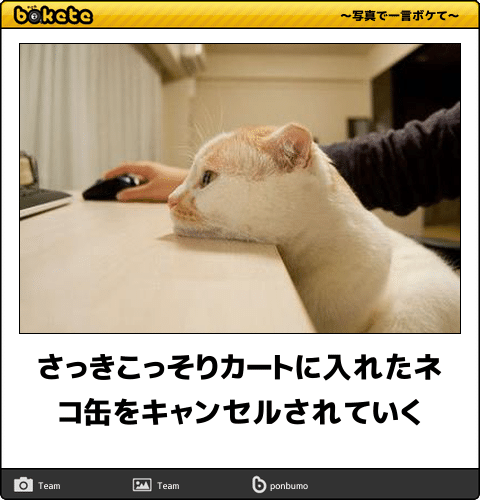 ボケて！で笑った動物編