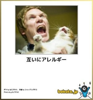 ボケて！で笑った動物編