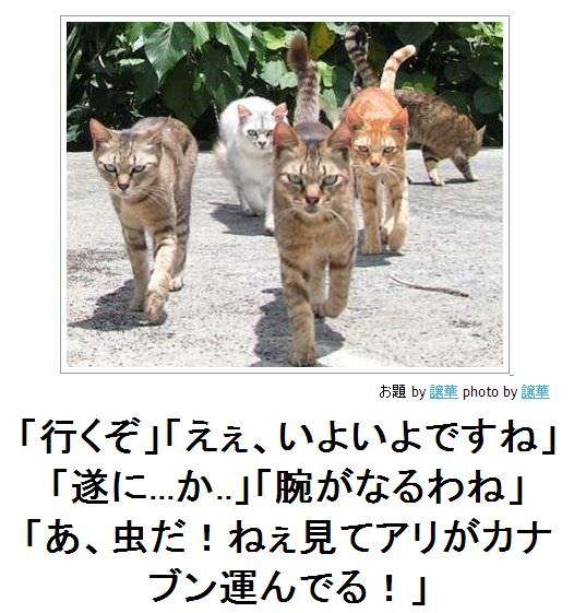 ボケて！で笑った動物編