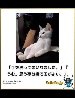 ボケて！で笑った動物編