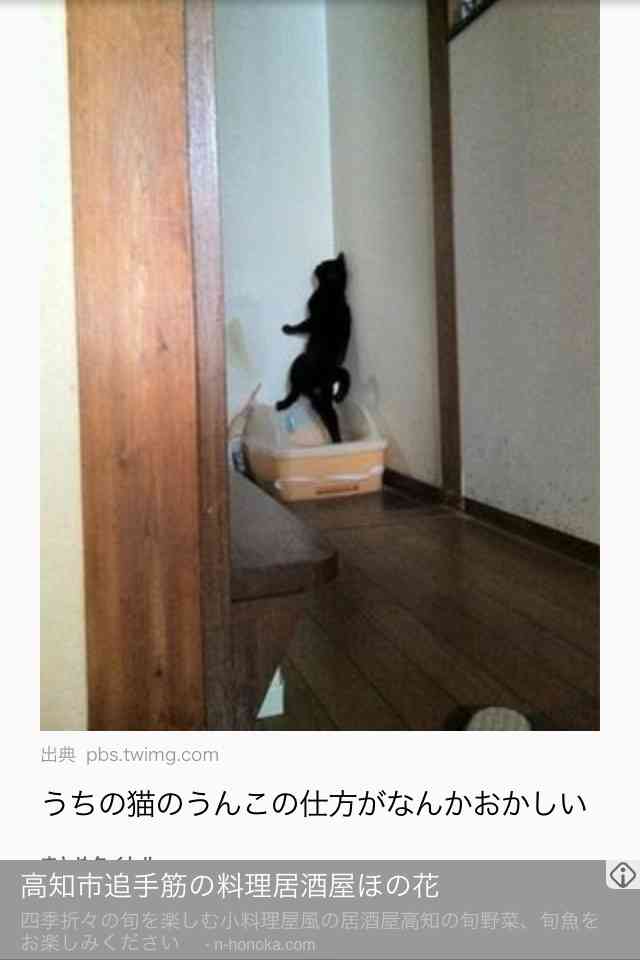ボケて！で笑った動物編