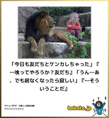 ボケて！で笑った動物編