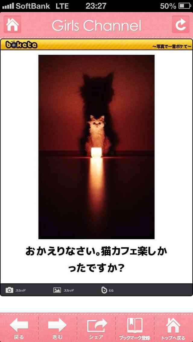 ボケて！で笑った動物編