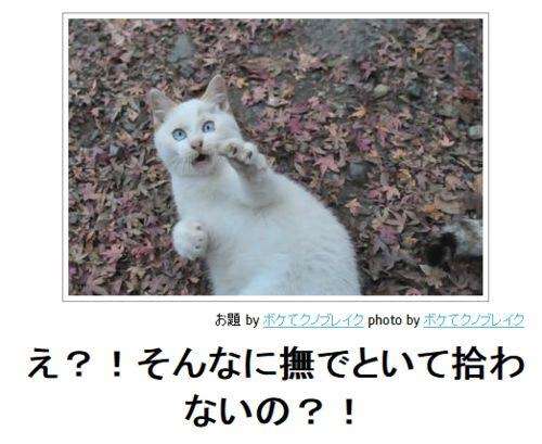 ボケて！で笑った動物編