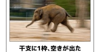 ボケて！で笑った動物編
