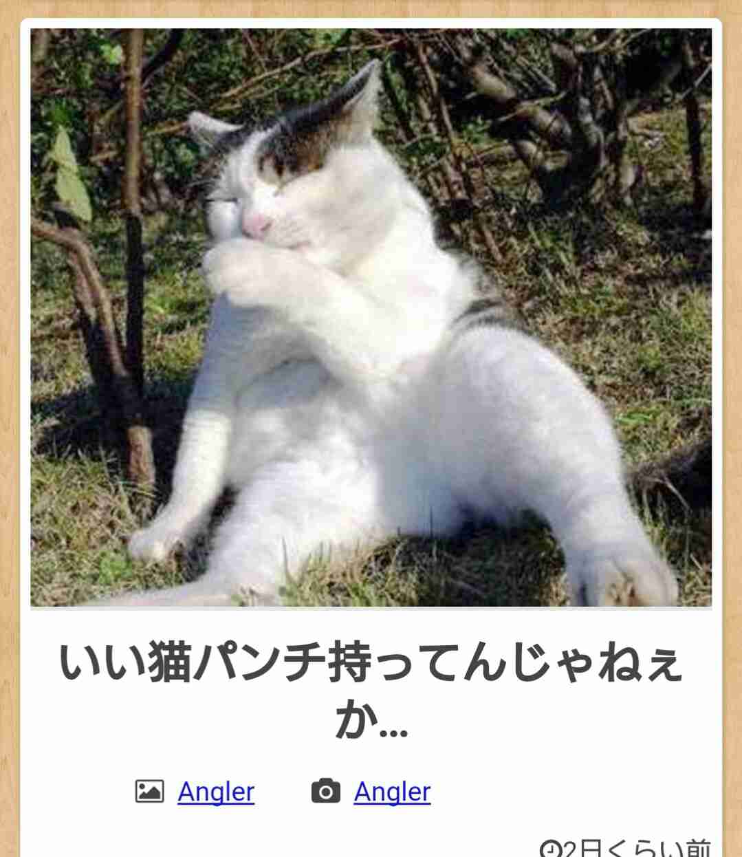 ボケて！で笑った動物編