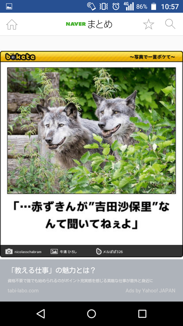ボケて！で笑った動物編