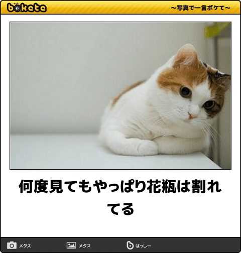 ボケて！で笑った動物編